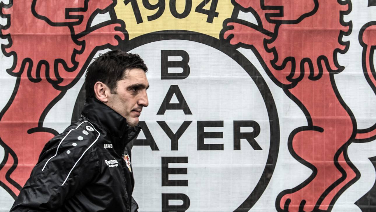 Korkut folgt auf Schmidt bei Bayer