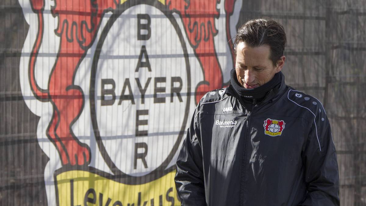 Roger Schmidt war knapp drei Jahre Trainer bei Bayer Leverkusen