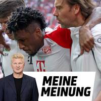 Stefan Effenberg spricht Klartext zur Situation bei Borussia Dortmund und zum VAR-Chaos. Auch zum FC Bayern und zur Verletzung von Starspieler Kingsley Coman hat der SPORT1-Experte eine eindeutige Meinung.