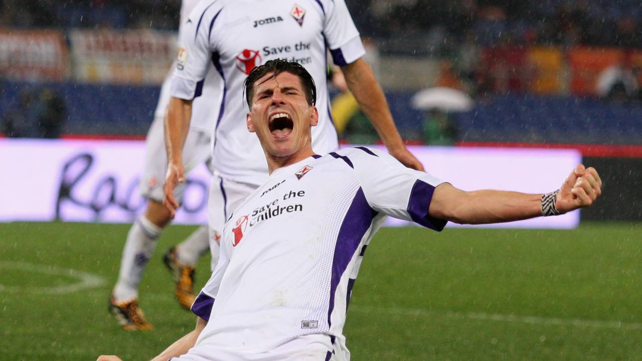 Bärenstark und zurück im Fokus