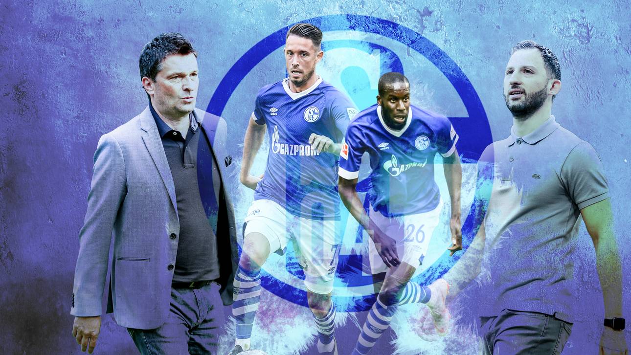 Tedescos Schalke der Zukunft