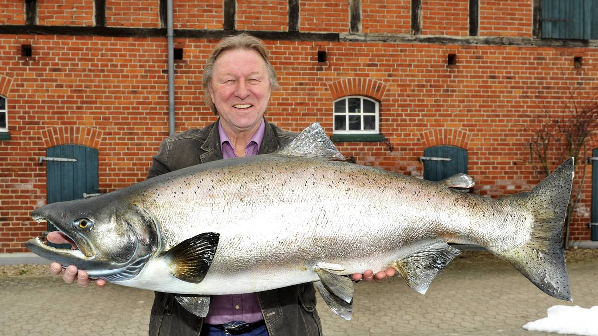 Horst Hrubesch fing 2013 einen 32-Kilo-Lachs in Norwegen