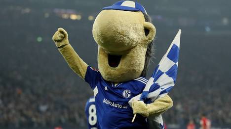 Wie Maskottchen Erwin: Bei Schalke 04 ist ab sofort eine lebenslange Vereinsmitgliedschaft möglich