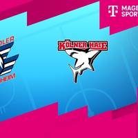Adler Mannheim - Kölner Haie (Highlights)