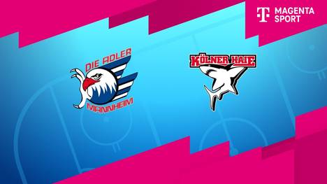 Adler Mannheim - Kölner Haie: Tore und Highlights | PENNY DEL