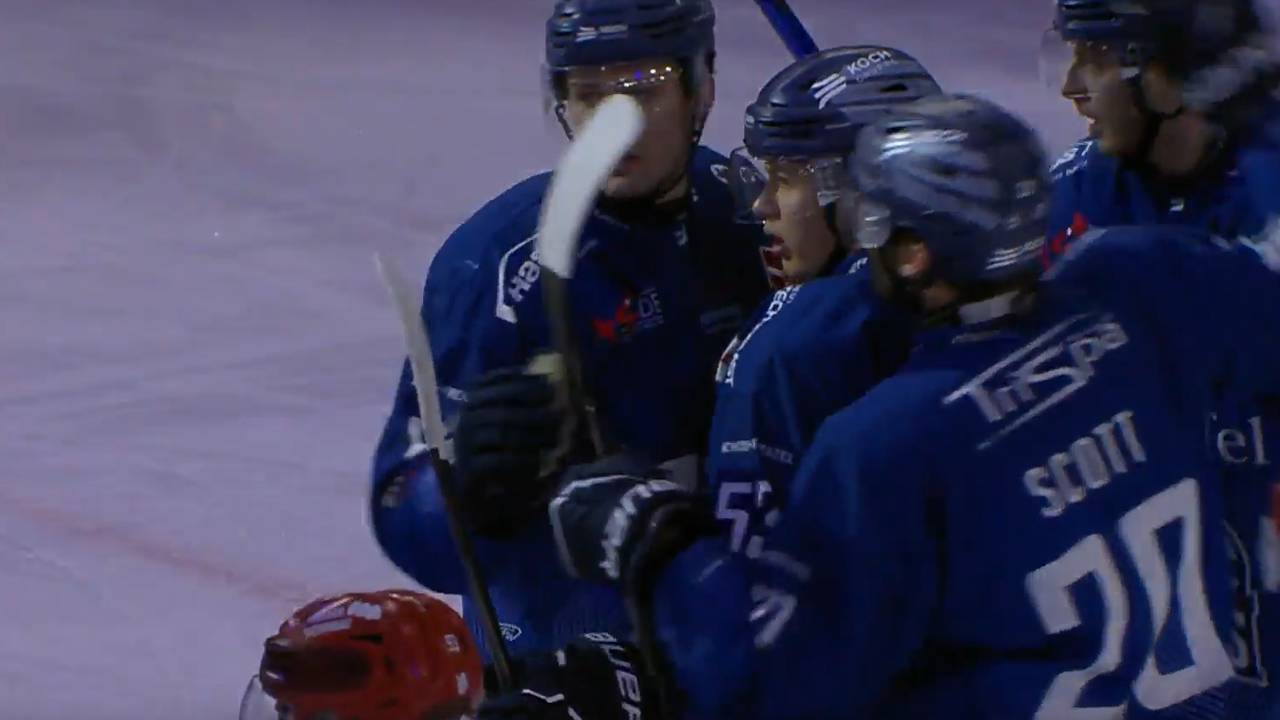 Straubing Tigers - Schwenninger Wild Wings I DEL-Highlights im Video