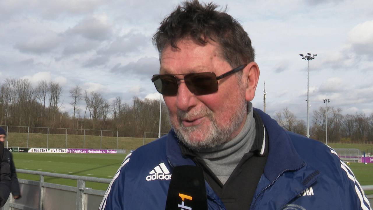 Schalke-Fans wüten wegen Wilmots