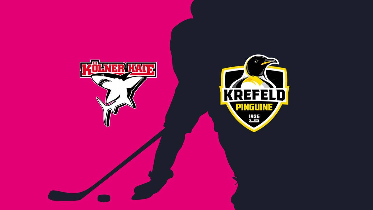 Kölner Haie - Krefeld Pinguine: Tore und Highlights | PENNY DEL