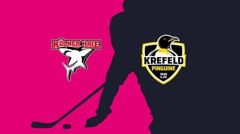 Kölner Haie - Krefeld Pinguine: Tore und Highlights | PENNY DEL