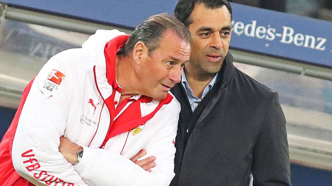 Dutt: Stevens „absolut der Richtige“