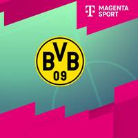 Hallescher FC - Borussia Dortmund II (Highlights)