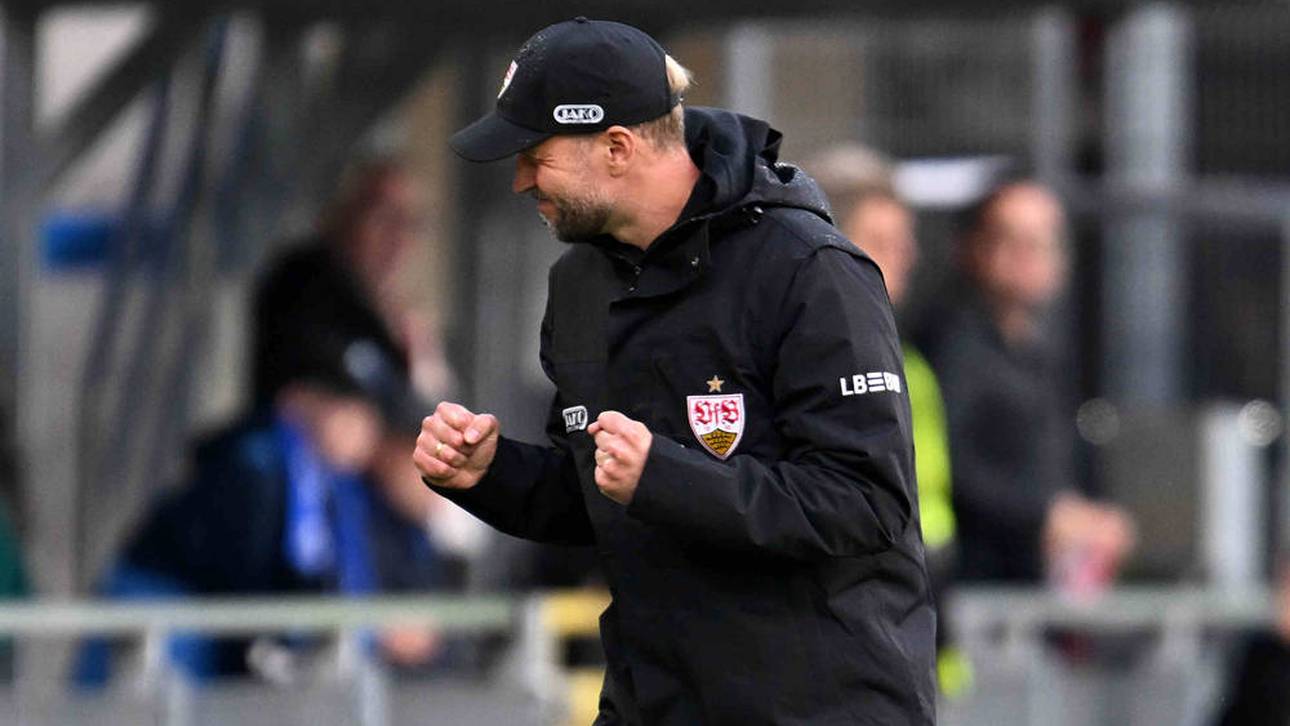 Champions League heute live: VfB in Bratislava im TV, Stream & Ticker