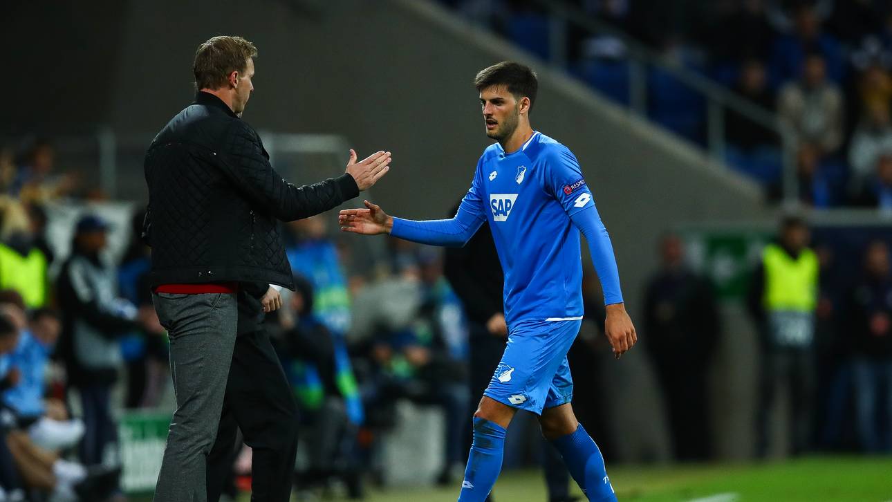 Hoffenheims Grillitsch verletzt