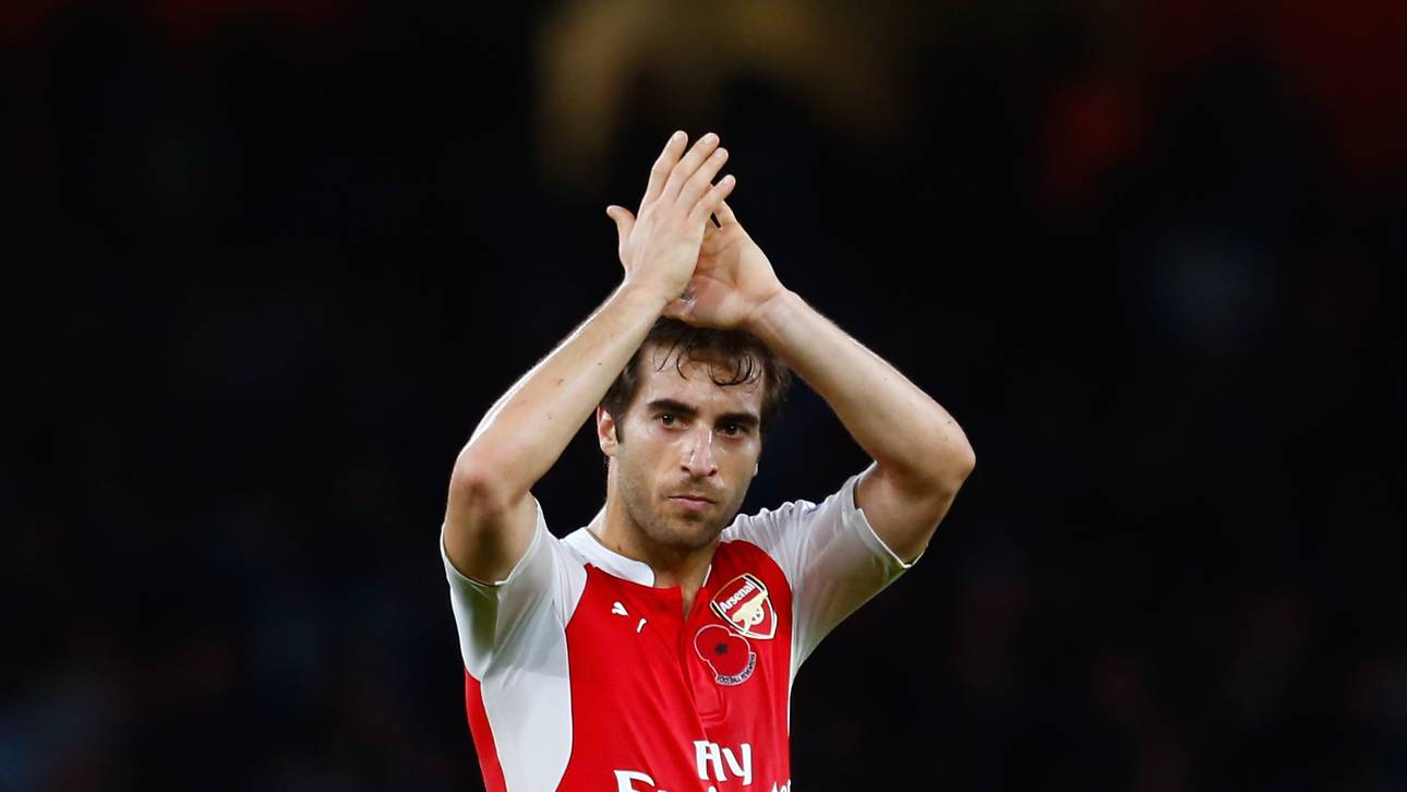 Flamini winken Milliarden mit Öko-Firma