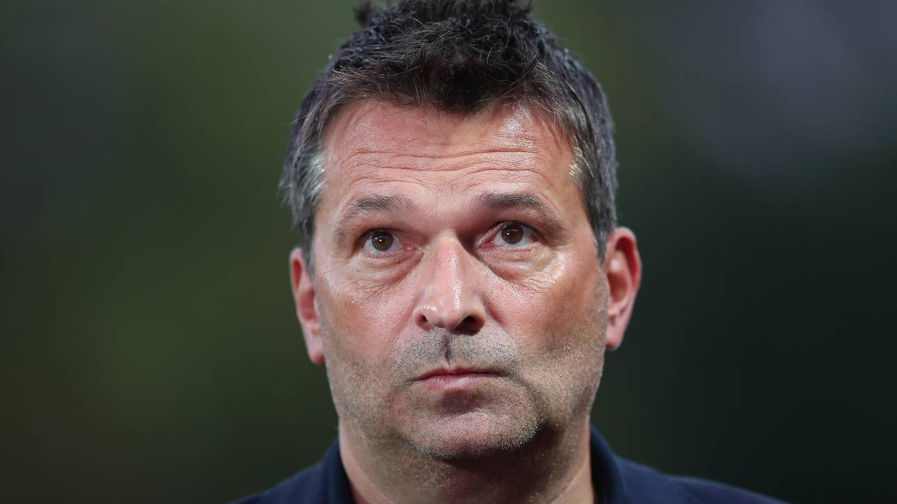 Heidel mit Selbstkritik wegen Rudy