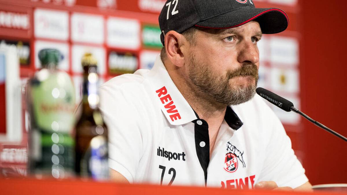 Steffen Baumgart beim FC Köln vorgestellt