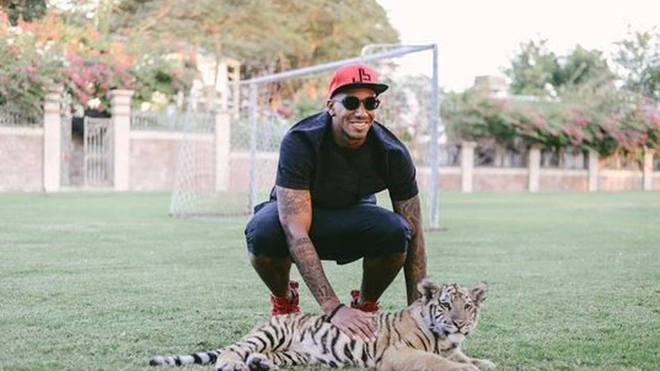 Verletzter Boateng macht Tier-Therapie