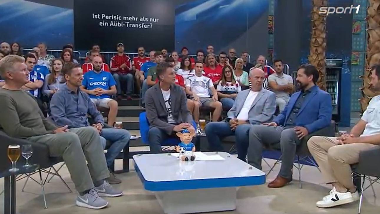 Effenberg verteidigt Perisic-Deal