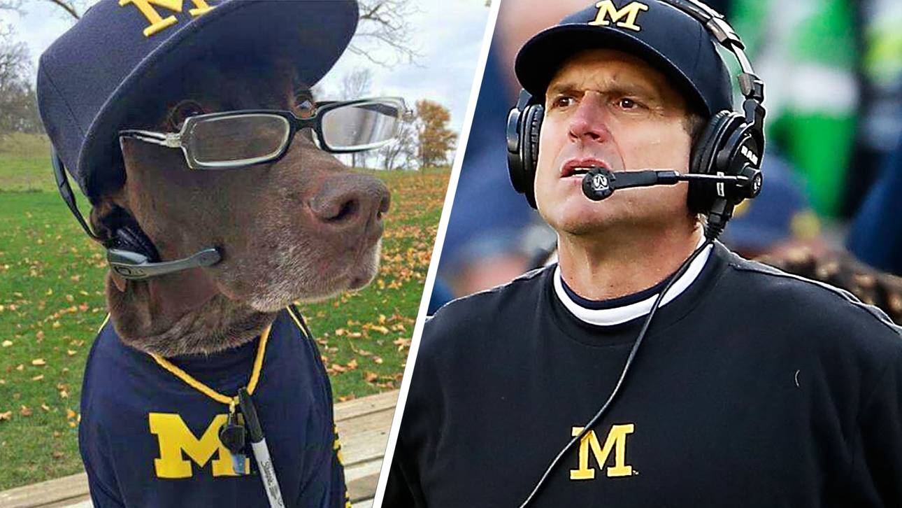 Tierisches Double für Trainerlegende