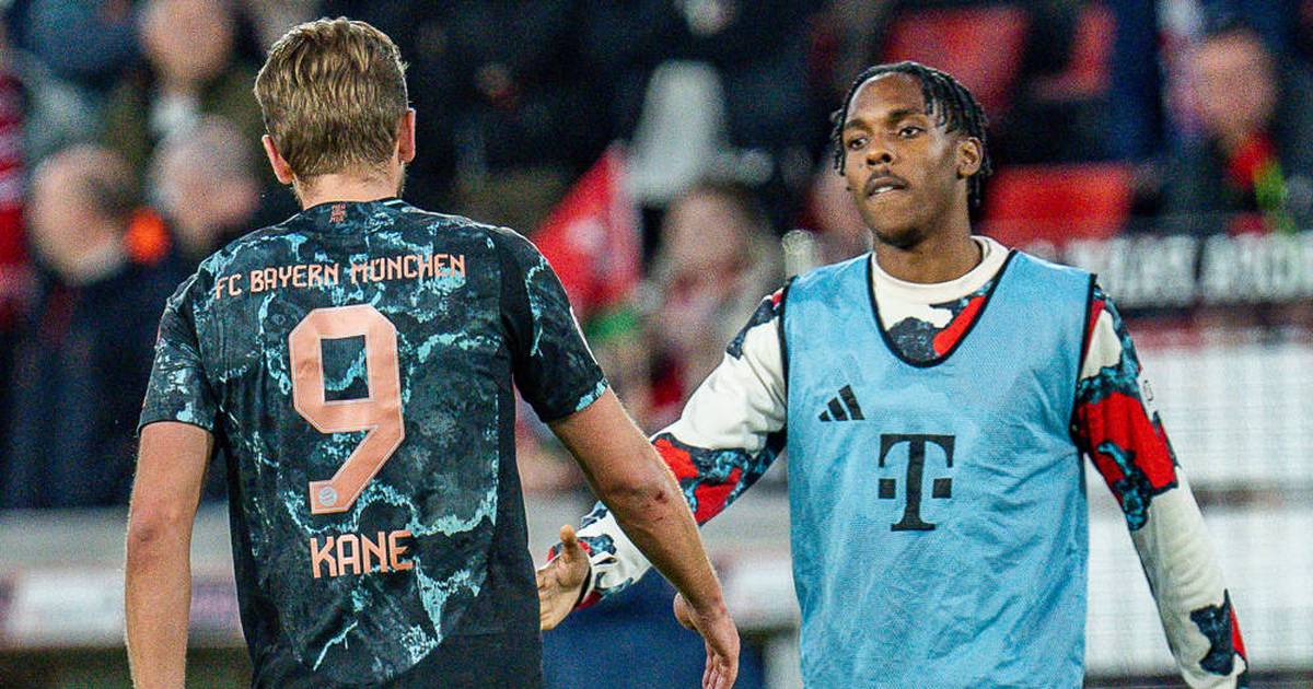 FC Bayern: Tel raves about Kane