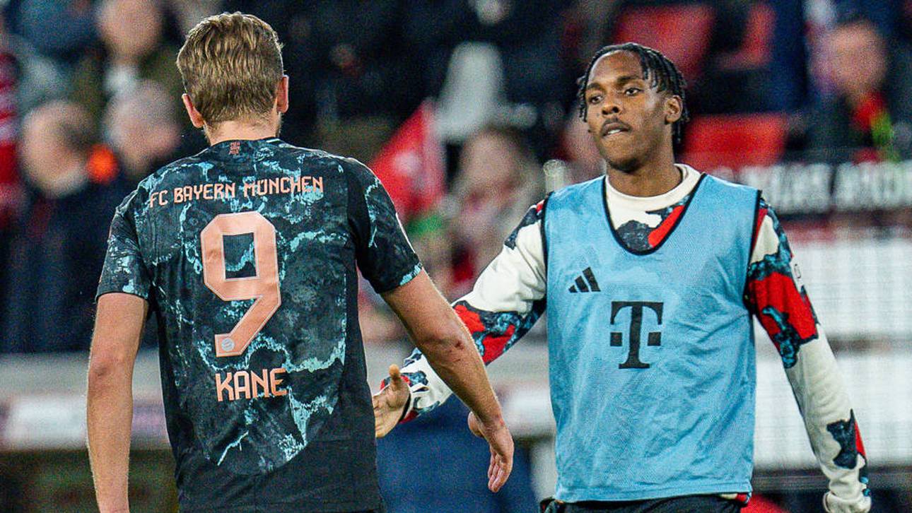 Tel schwärmt von Kane