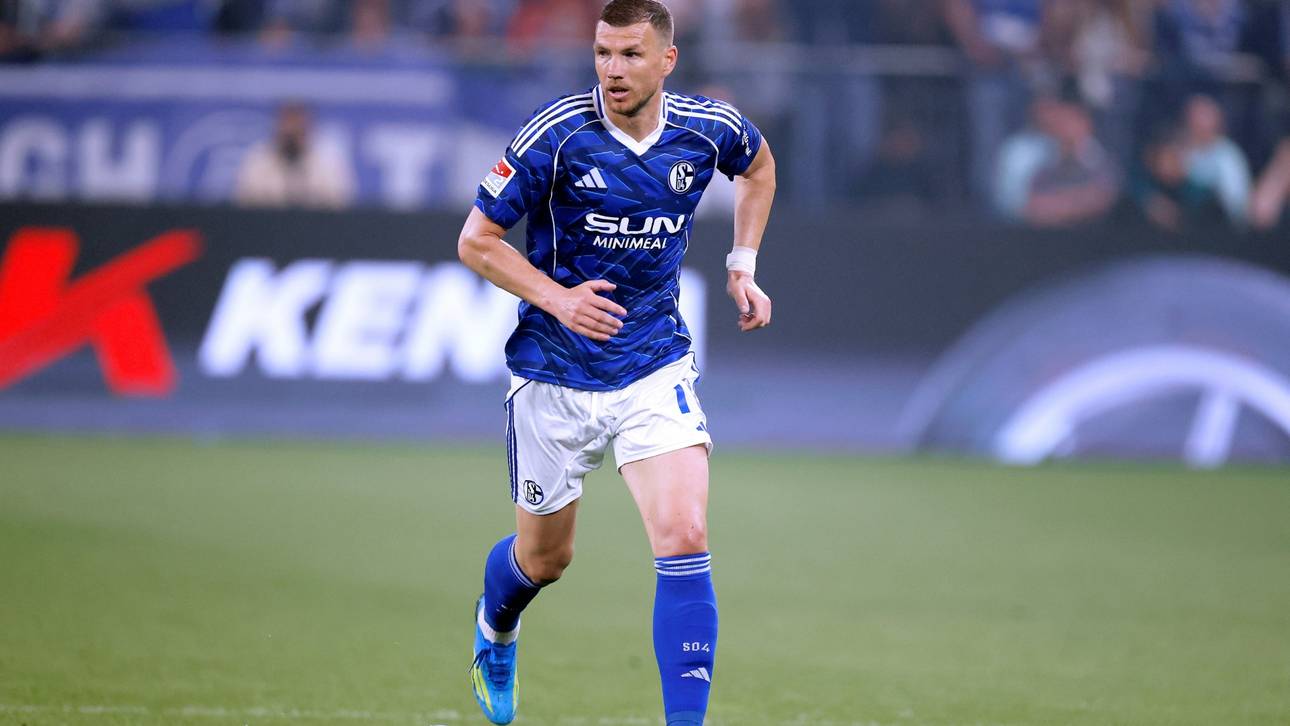 Dzeko verteidigt Schalker Party-Trip