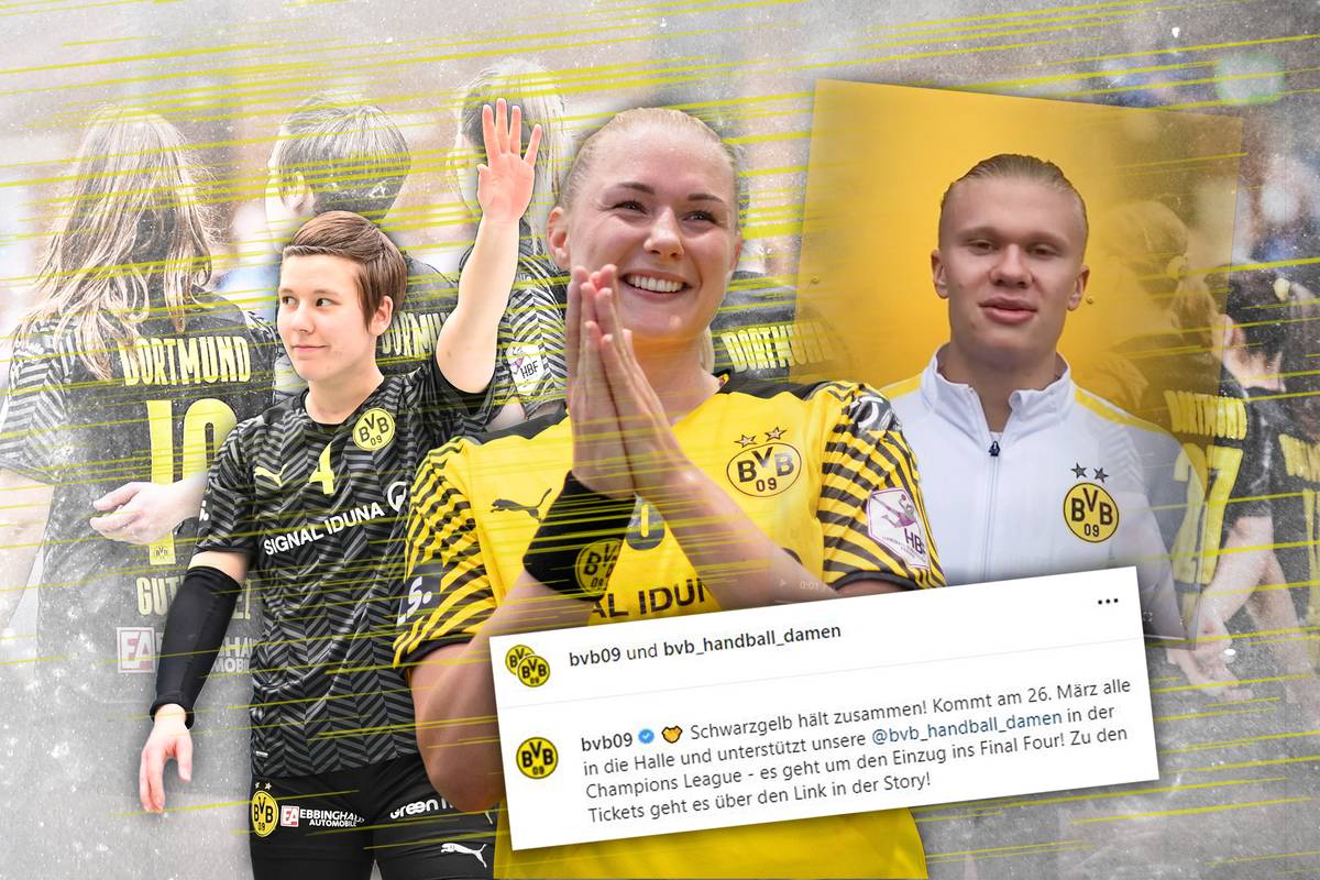 Mit Haalands Support: Historische Chance für den BVB