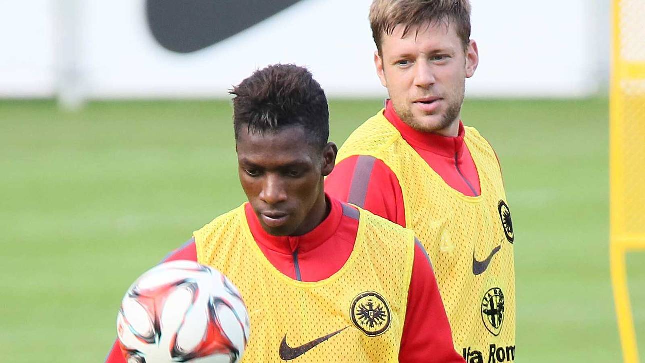 Frankfurt: Yaffa wieder im Training