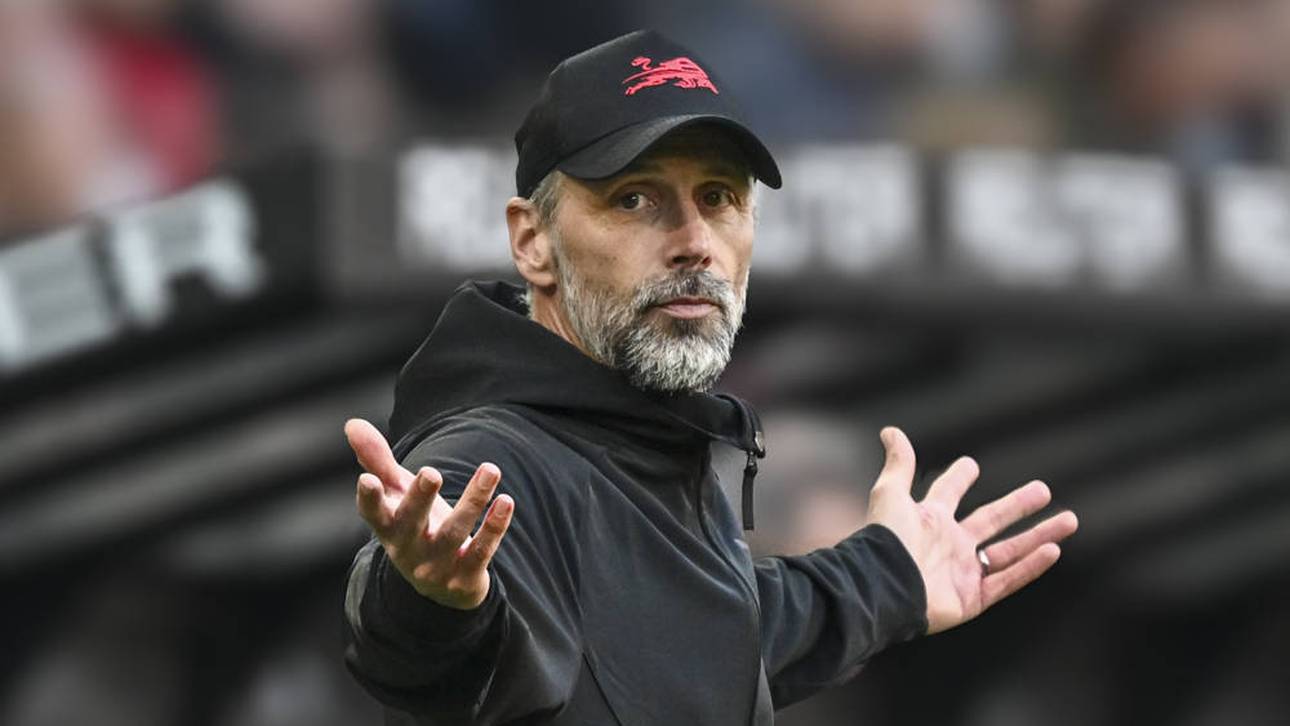 Erstaunliche Berichte zu Rose