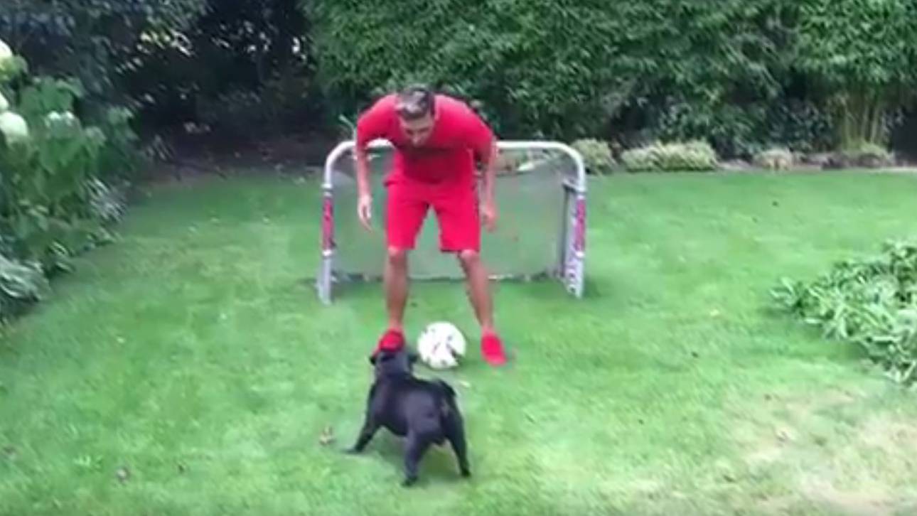 Arsenal-Fans feiern Özils Hund