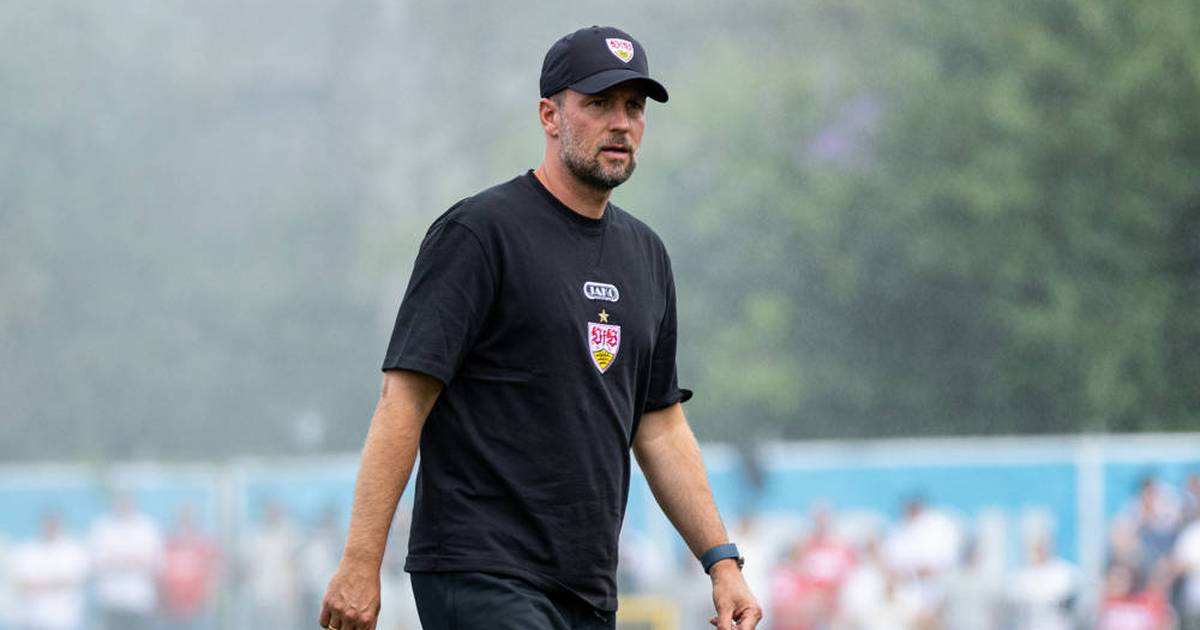 Transfer market: Hoeneß annoyed about Stuttgart's Demirovic