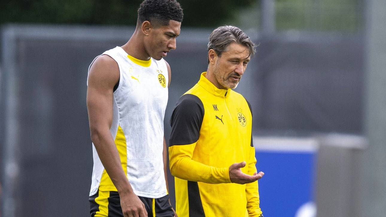 Kovac verteidigt Bellingham: „Verstehe die Kritik gar nicht“