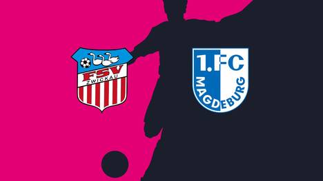 FSV Zwickau - 1. FC Magdeburg: Tore und Highlights | 3. Liga