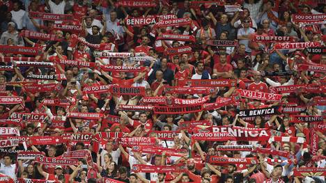 Rui Pinto fürchtet die Fans von Benfica Lissabon
