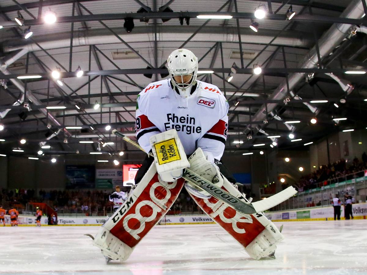 DEL Kölner Haie gegen Düsseldorfer EG LIVE im TV auf SPORT1