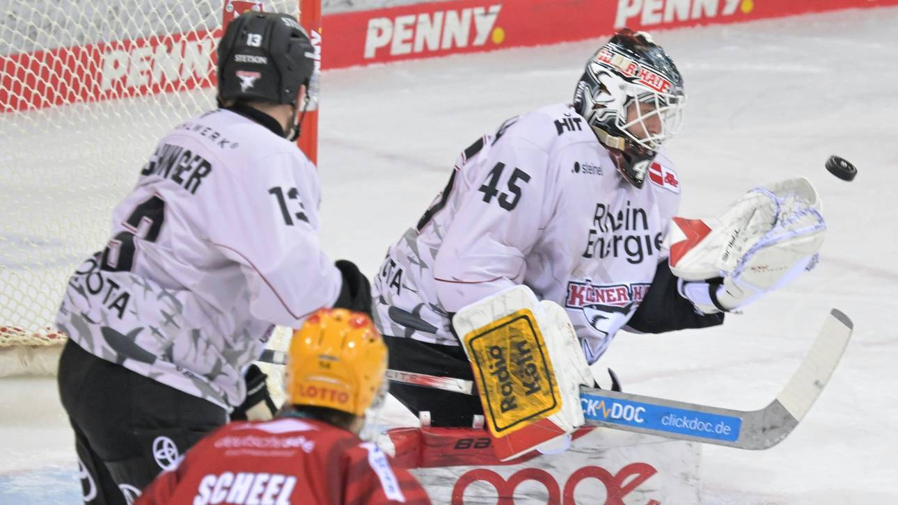 Haie verlängern mit Torhüter Ancicka