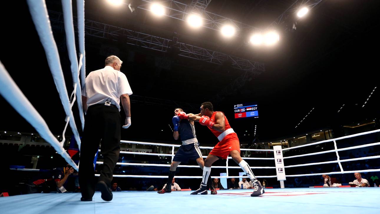 Hamburg erhält Zuschlag für WM 2017