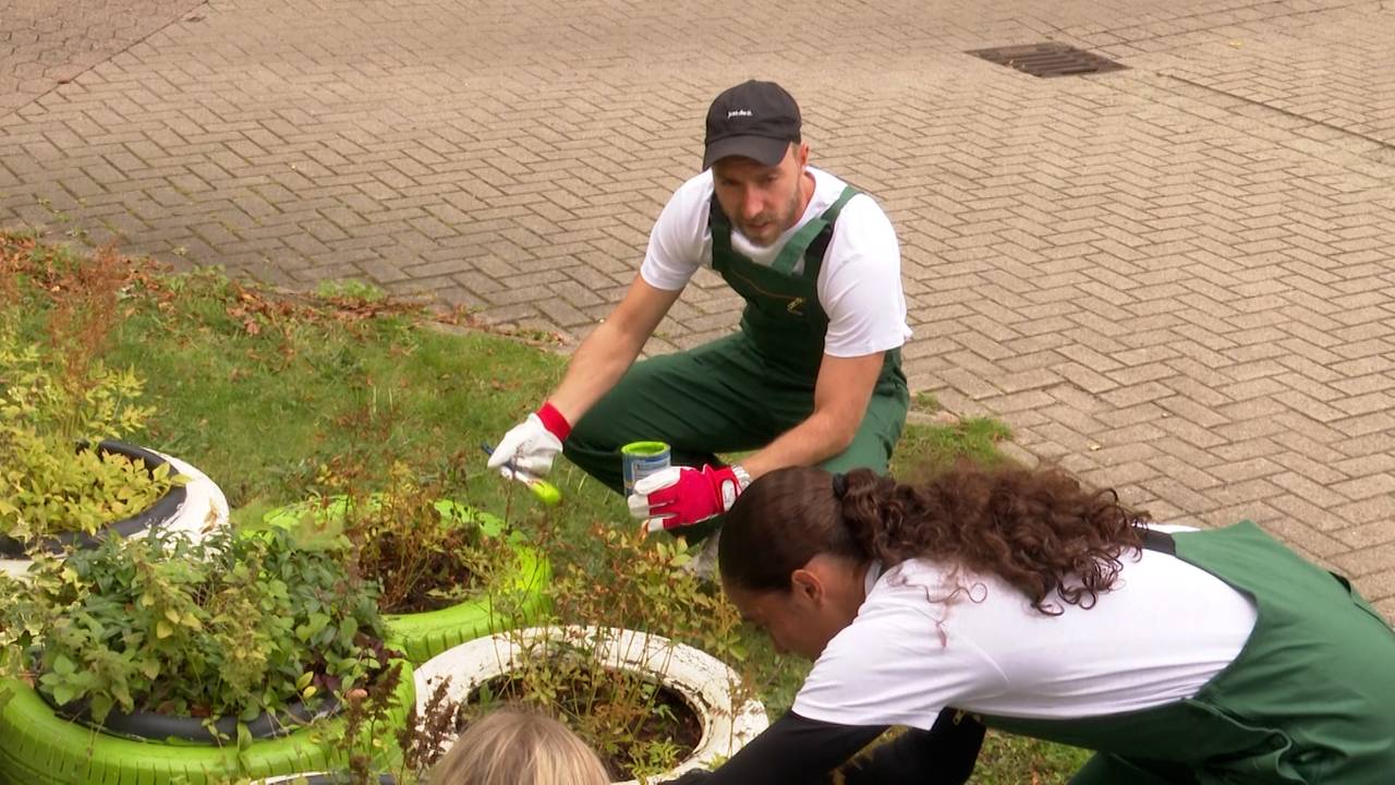 Malermeister & Bingo-Fee: VfL-Neuzugang vielseitig gefordert