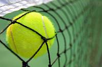 Rune - Seyboth Wild Tipp mit Experten-Prognose, Analyse & Statistik sowie Value-Quote für deine Wimbledon 2024 Wette | Beendet Rune Seyboth Wilds erste Wimbledon-Erfahrung?  