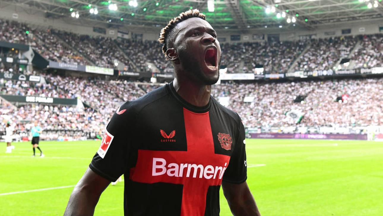 Auf den Spuren von Erling Haaland