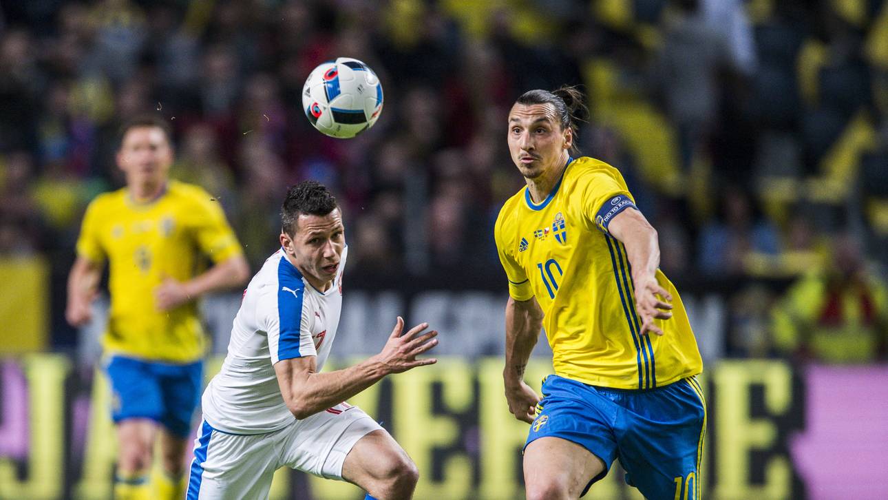 Schweden fordern EM-frei für Fans