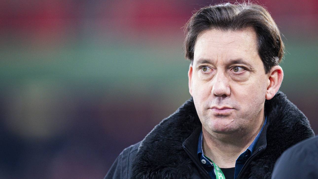 Gräfe fordert wohl Mega-Summe vom DFB