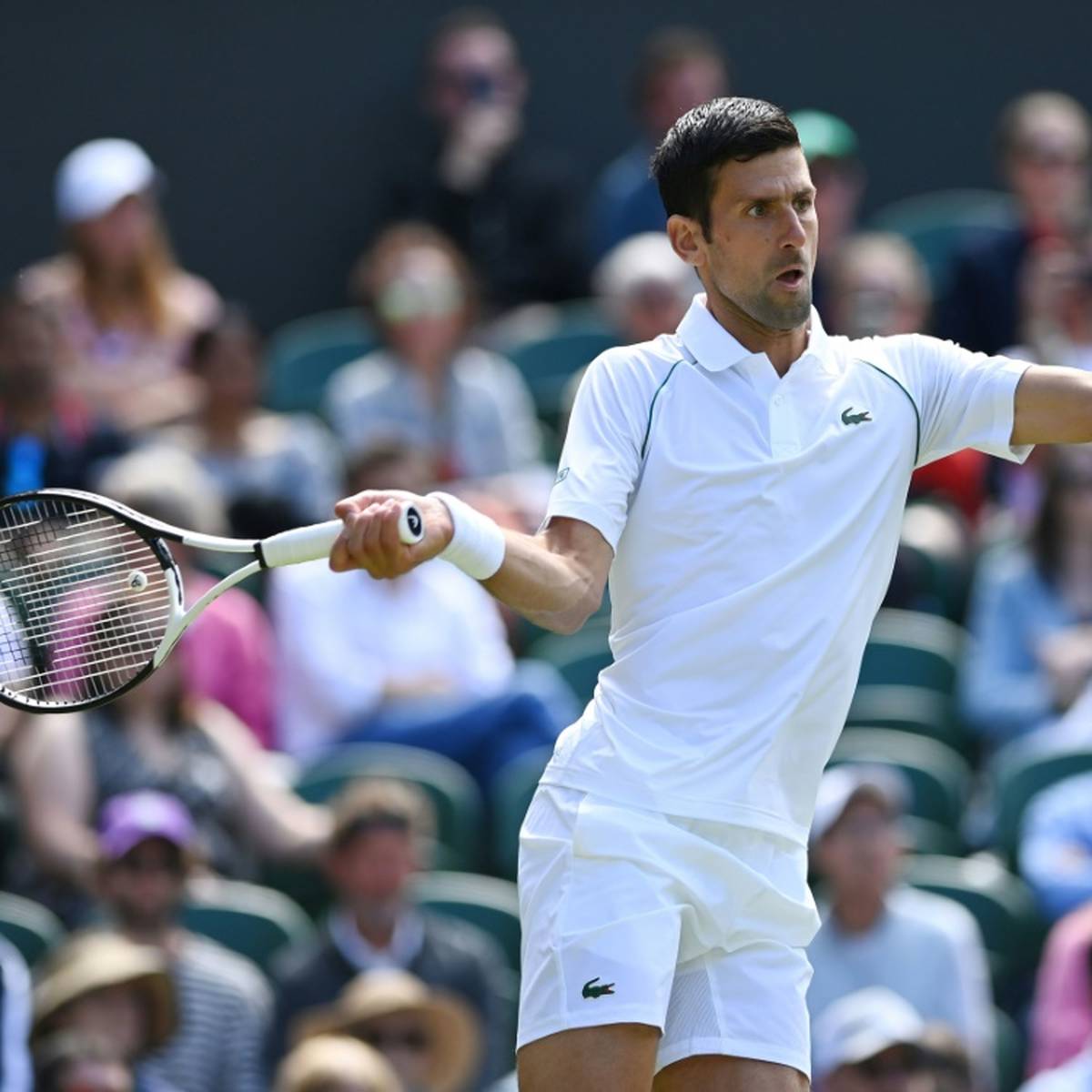 Titelverteidiger Novak Djokovic steht nach einer souveränen Vorstellung im Achtelfinale von Wimbledon.
