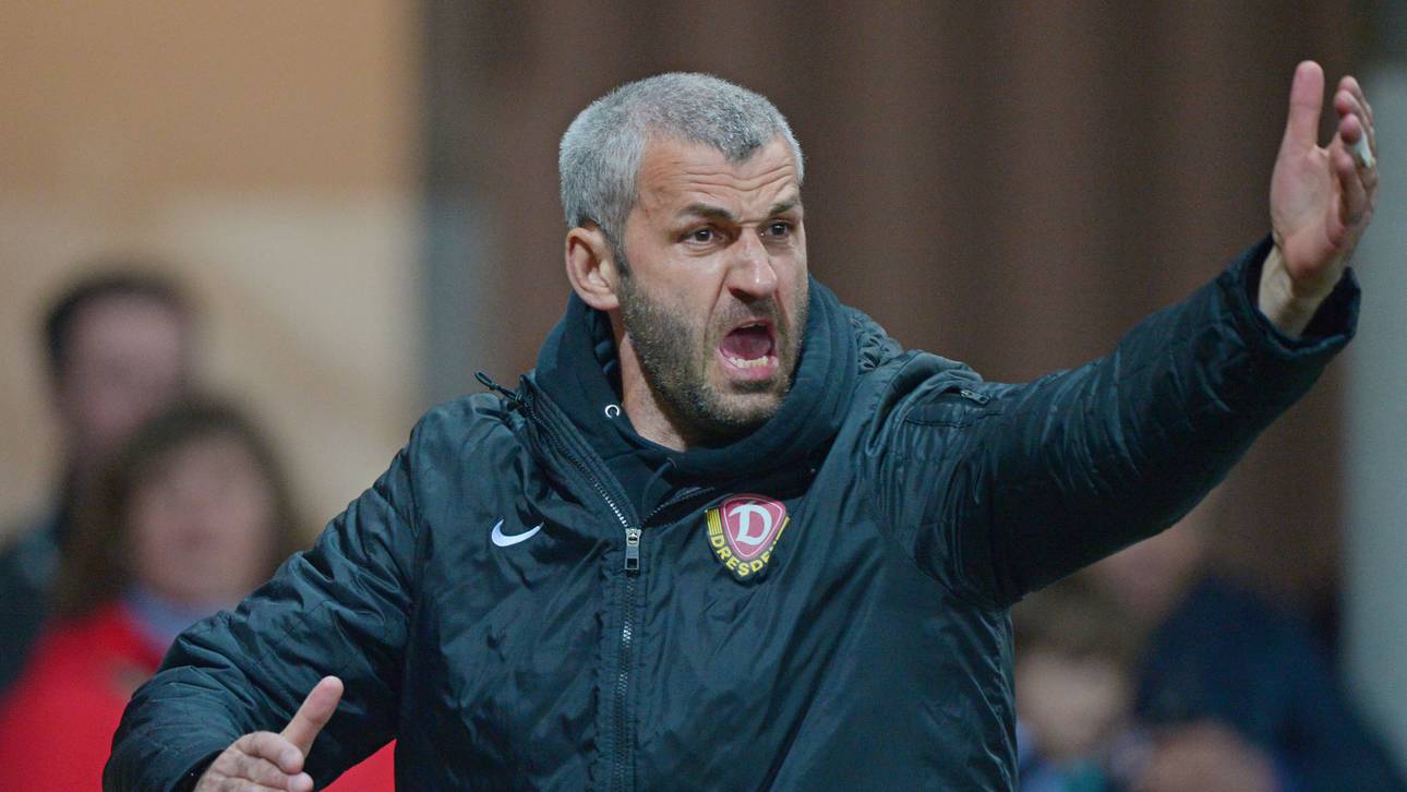 Nemeth neuer Trainer in Dresden