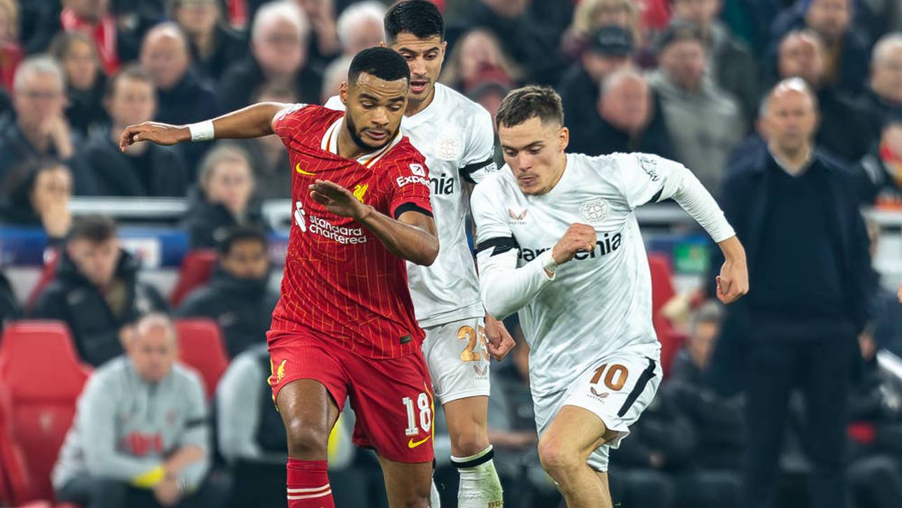 Cody Gakpo (l.) soll ins Visier des FC Bayern geraten sein