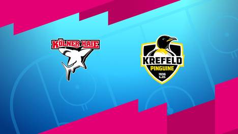Kölner Haie - Krefeld Pinguine: Tore und Highlights | PENNY DEL