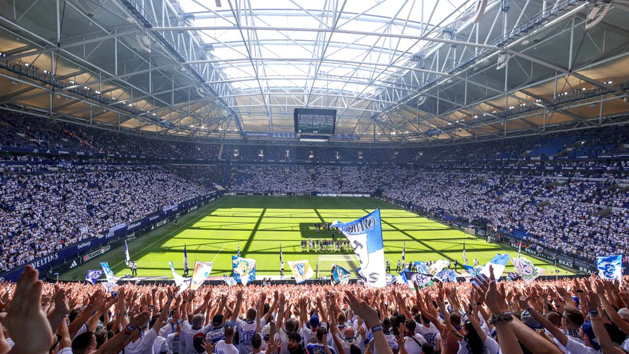 Schalke mit deutlicher Preissenkung