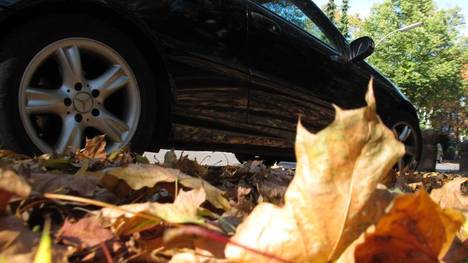 Laub, Ernteabfälle und erster Frost machen die Fahrbahn im Herbst für Autos und Motorräder zuweilen unberechenbar