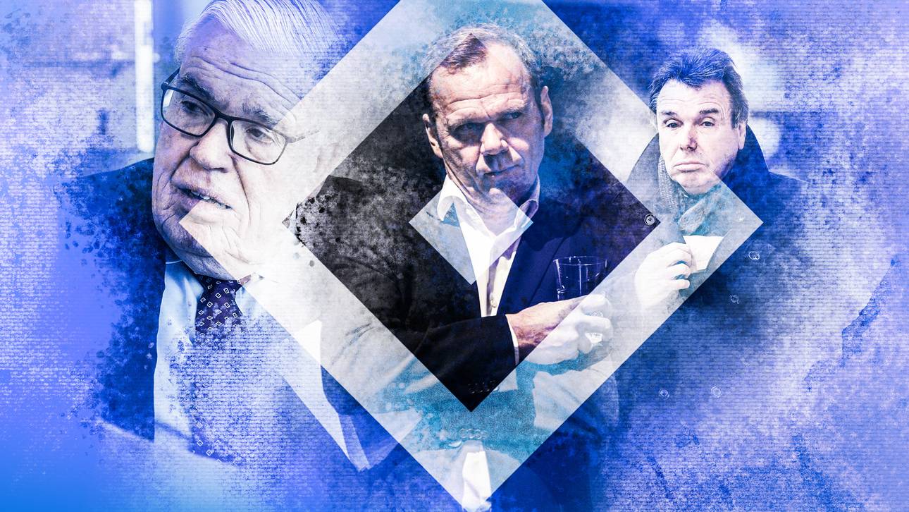 Das plant Hoffmann beim HSV