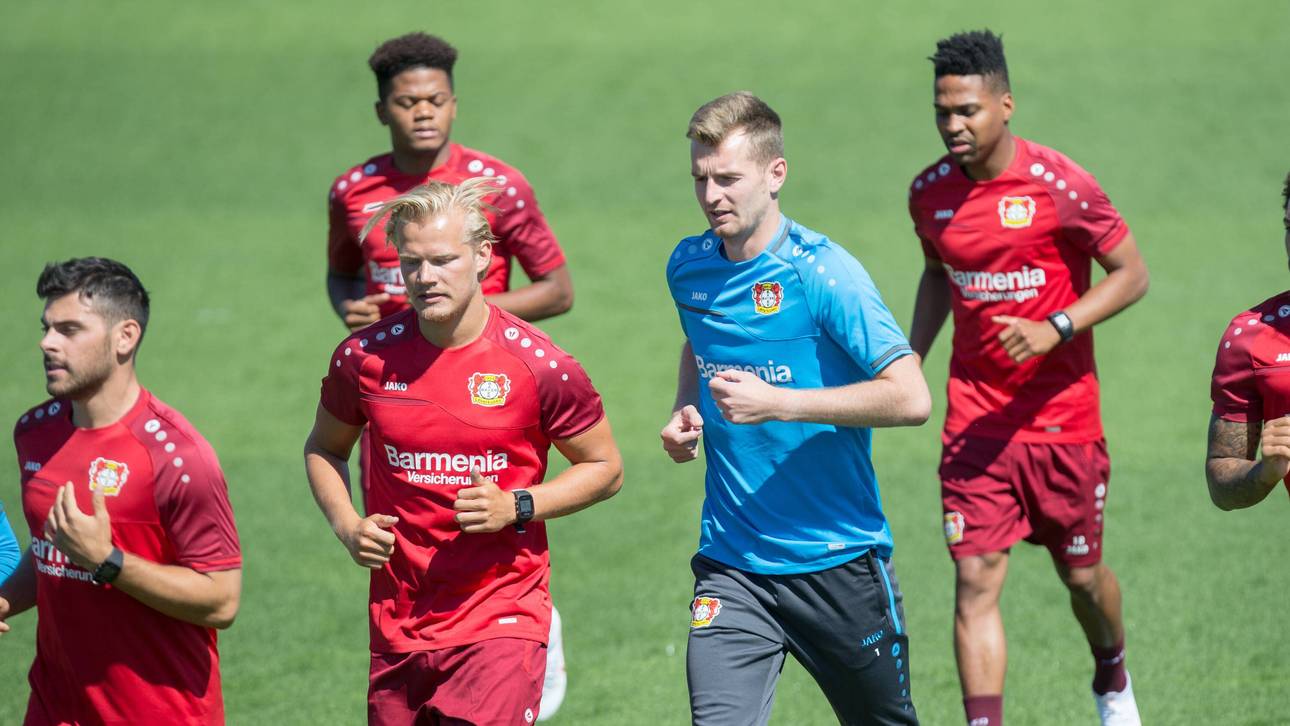 Hradecky schwärmt von Bayer-Kader